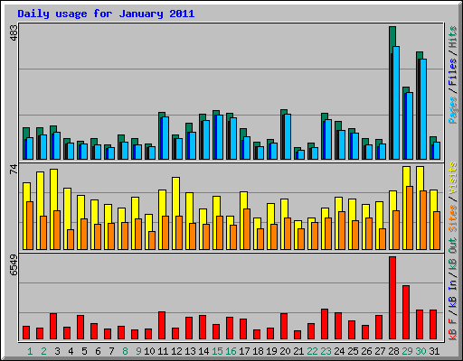 Daily usage for January 2011