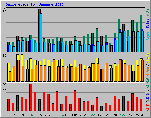 Daily usage for January 2013