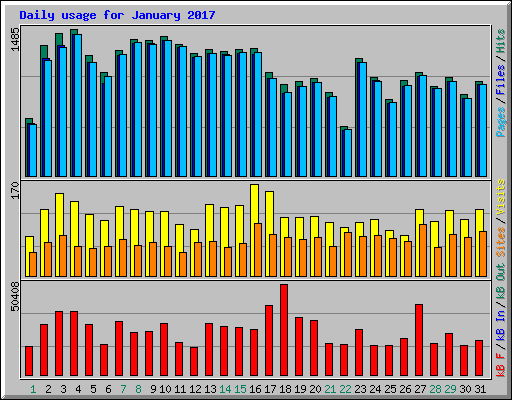 Daily usage for January 2017