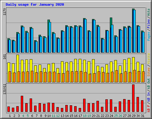 Daily usage for January 2020