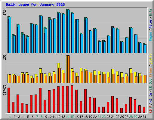 Daily usage for January 2023