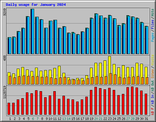 Daily usage for January 2024