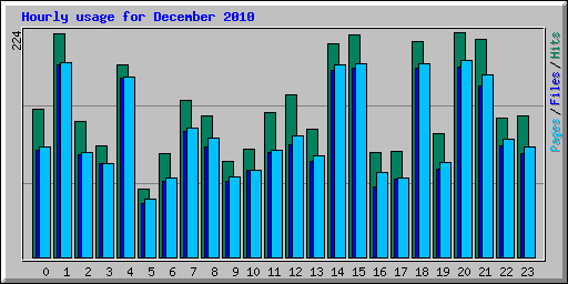 Hourly usage for December 2010