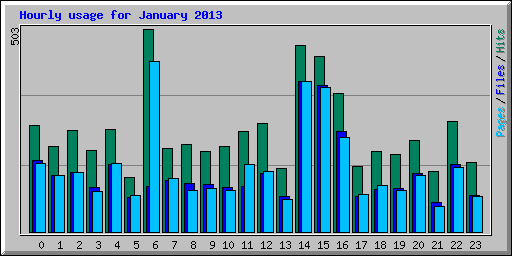 Hourly usage for January 2013