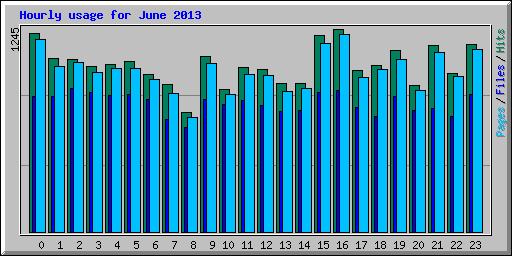 Hourly usage for June 2013