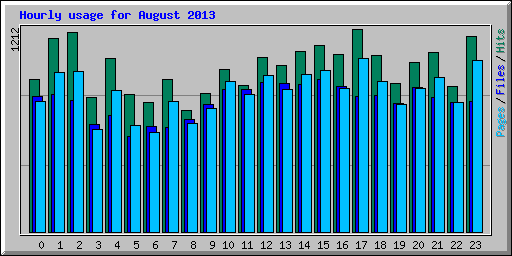 Hourly usage for August 2013