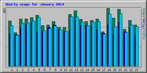 Hourly usage for January 2014