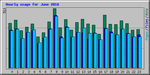 Hourly usage for June 2016