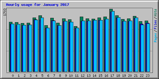 Hourly usage for January 2017