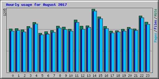 Hourly usage for August 2017