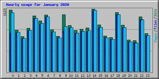Hourly usage for January 2020
