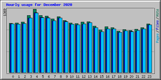Hourly usage for December 2020