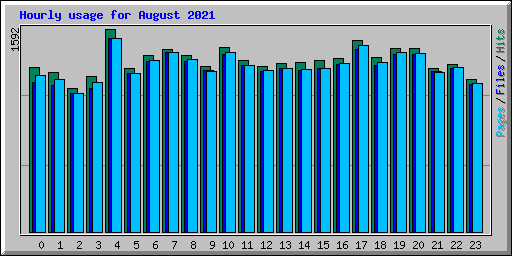 Hourly usage for August 2021