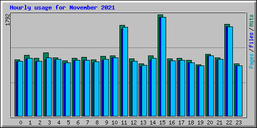Hourly usage for November 2021