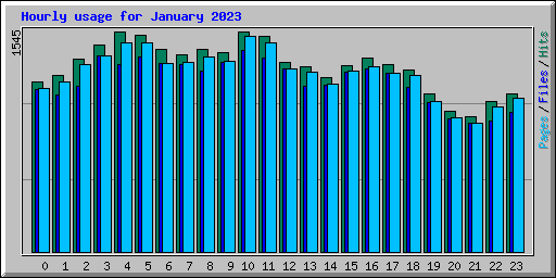 Hourly usage for January 2023
