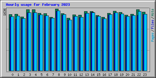 Hourly usage for February 2023