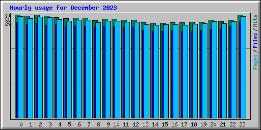 Hourly usage for December 2023