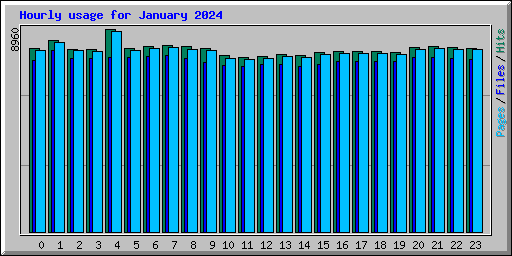 Hourly usage for January 2024