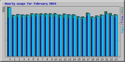 Hourly usage for February 2024