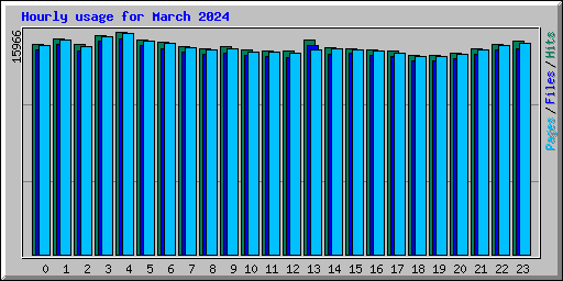 Hourly usage for March 2024