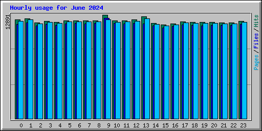 Hourly usage for June 2024
