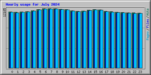 Hourly usage for July 2024