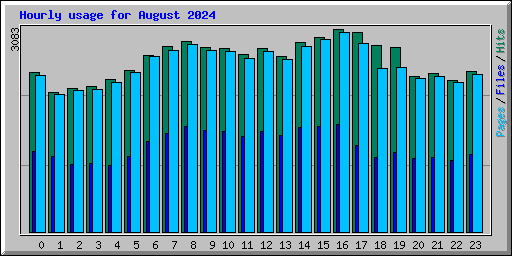 Hourly usage for August 2024