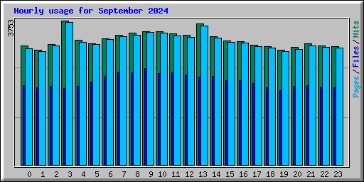 Hourly usage for September 2024